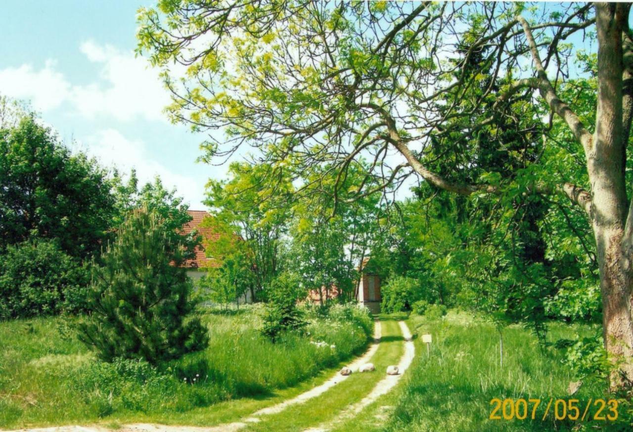 Alt JargenowGutshaus Alt-Jargenow公寓 外观 照片