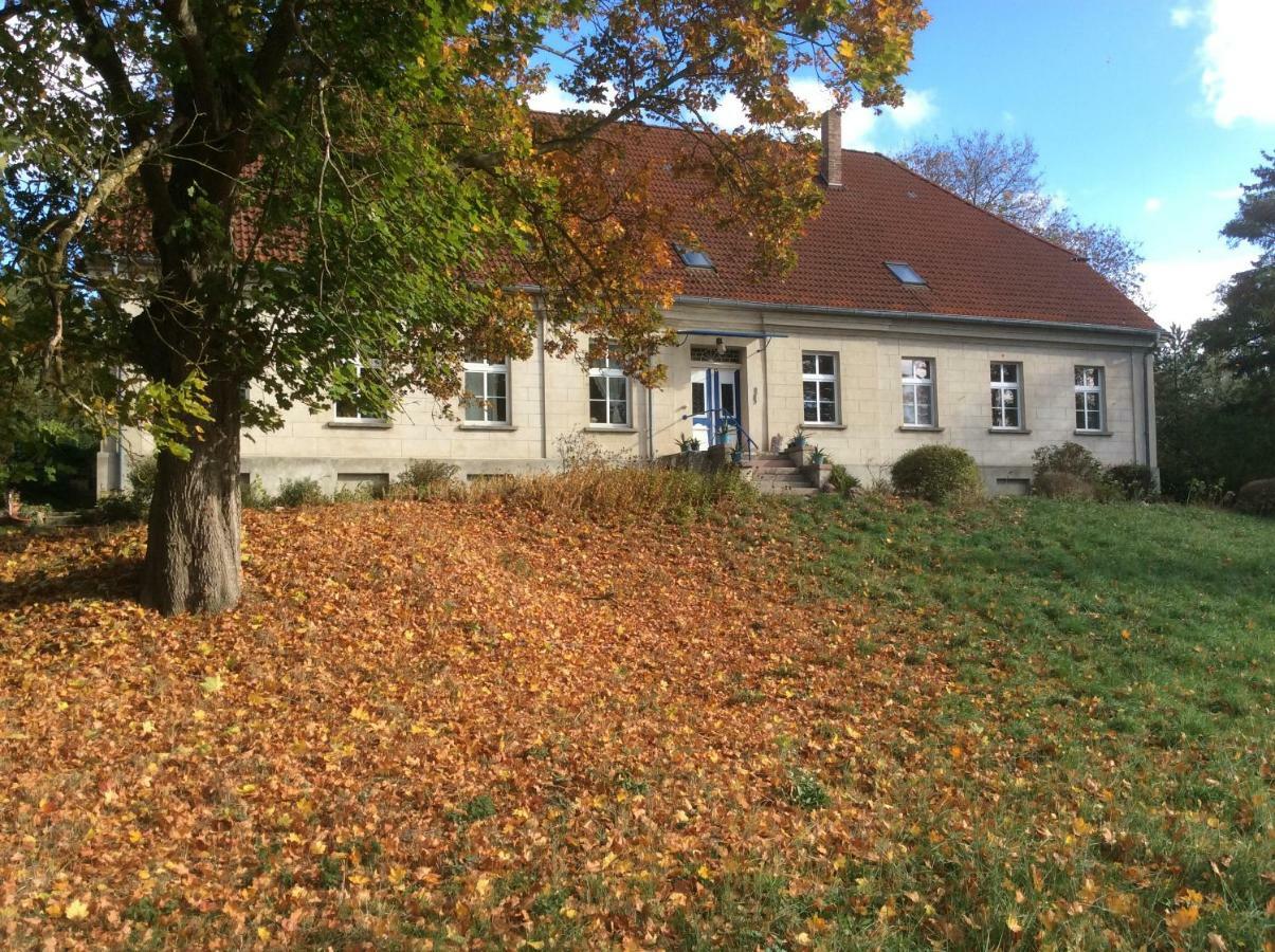 Alt JargenowGutshaus Alt-Jargenow公寓 外观 照片